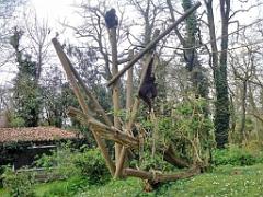 149 BIO PARC DE DOUE LA FONTAINE 7- 2016_000019